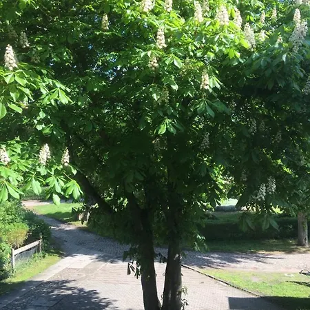 Apartamento Kastanienblick Oder Parkblick, Oder Unser Radlerzimmer! Ziethen (Vorpommern-Greifswald)