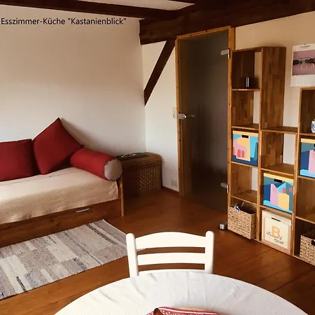 Kastanienblick Oder Parkblick, Oder Unser Radlerzimmer! * Ziethen (Vorpommern-Greifswald)