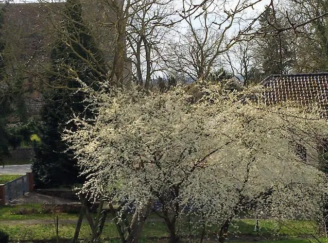 Apartamento Kastanienblick Oder Parkblick, Oder Unser Radlerzimmer! Ziethen (Vorpommern-Greifswald)