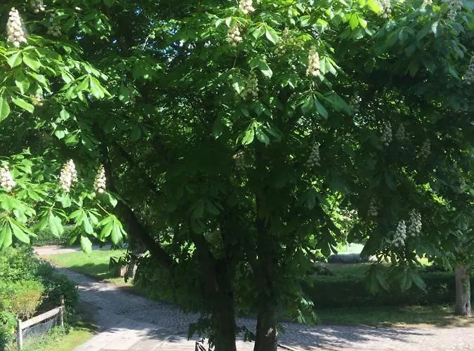 Apartamento Kastanienblick Oder Parkblick, Oder Unser Radlerzimmer! Ziethen (Vorpommern-Greifswald)